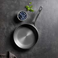 The One Titanium Frying Pan