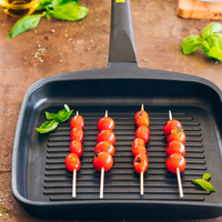 Foodie Grooved Grill Pan
