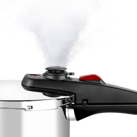 Allure stainless steel pressure cooker