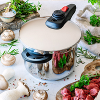 Allure stainless steel pressure cooker