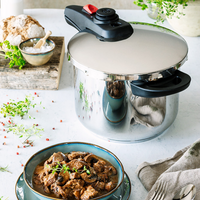 Allure stainless steel pressure cooker