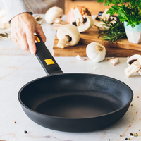 Daily Pro Frying Pan