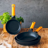 Set de sartenes Efficient Orange