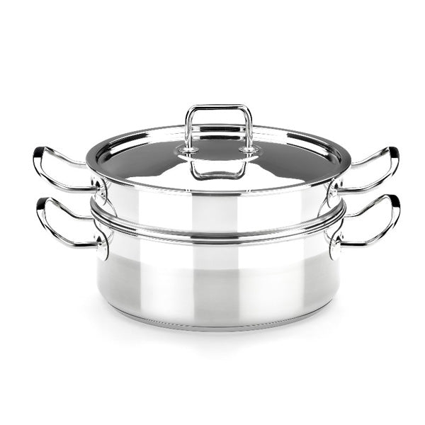 Olla de vapor de acero inoxidable de 2 niveles – 11.0 in olla de vapor con  tapa de vidrio para alimentos vegetales olla olla de cocina olla de cocción